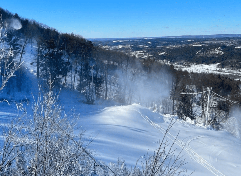 雪梨旅遊注意事項